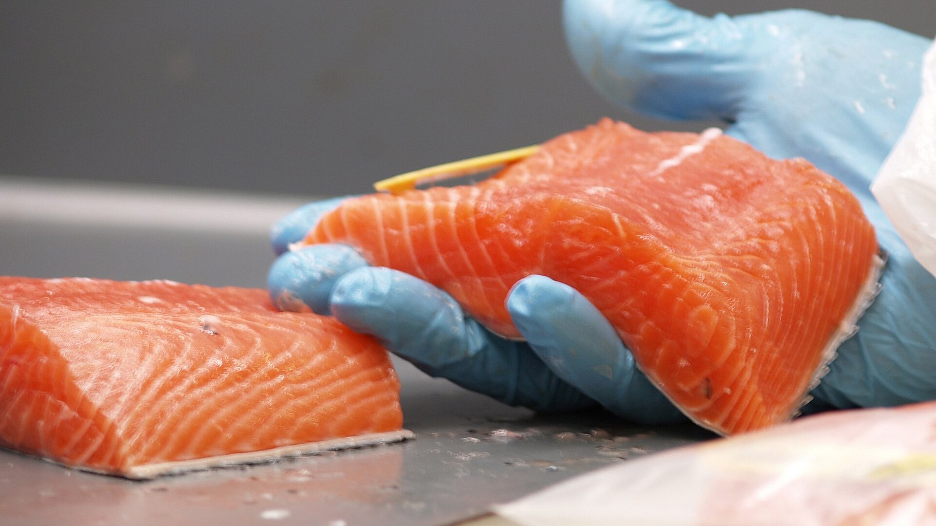 Cómo la inteligencia artificial mejora el control de calidad del salmón